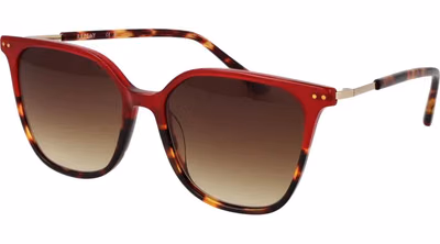 Multicolor Plastic Sunglasses