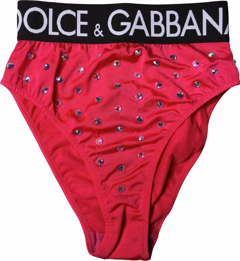 Dolce & Gabbana Pink Embellished High-Waist Brief Logo Underwear