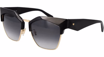 Black Plastic Sunglasses