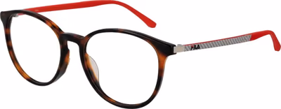 Brown Plastic Glasses (Frames)