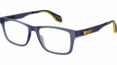 Blue Plastic Glasses (Frames)
