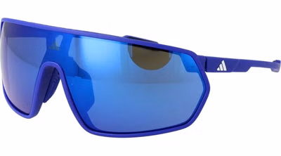 Blue Plastic Sunglasses