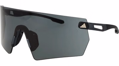 Black Plastic Sunglasses