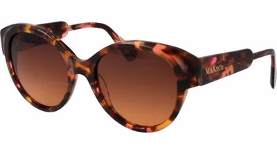 Multicolor Plastic Sunglasses