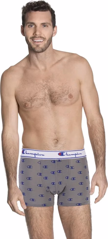 Champion Gray Cotton Boxers