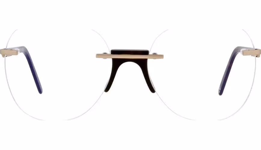 Andy Wolf Gold Metal & Plastic Glasses (Frames)