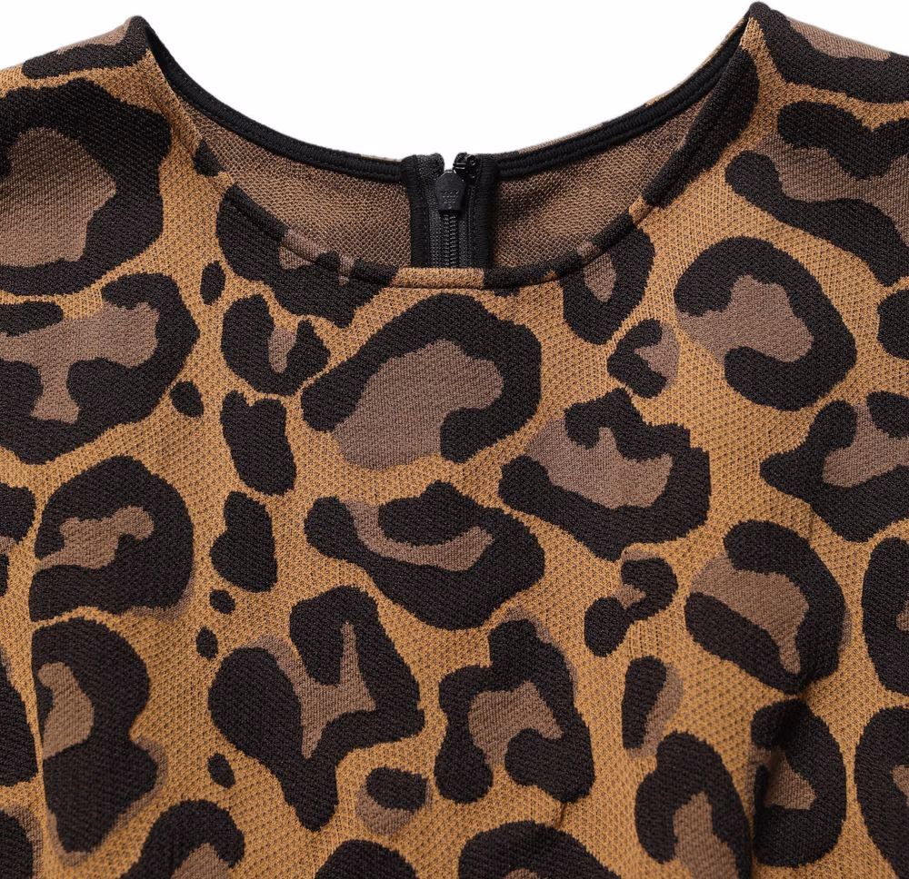 Dolce & Gabbana Brown Leopard Jacquard Knee Length Dress