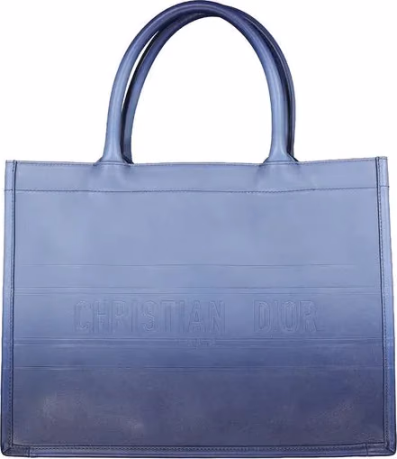 Dior Blue Calfskin Tote Bag