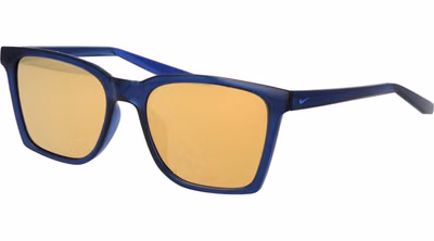 Blue Plastic Sunglasses