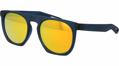 Blue Plastic Sunglasses