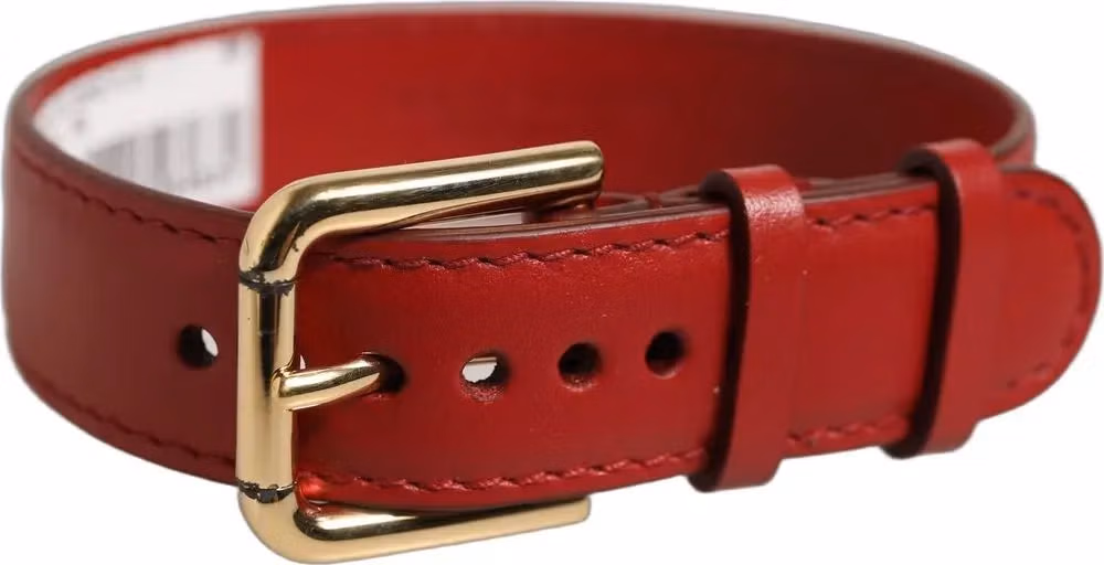 Dolce & Gabbana Red Calfskin Leather Gold Buckle Belt Strap Bracelet