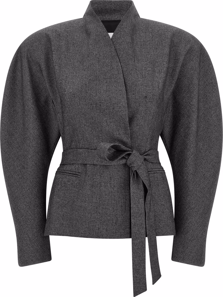 The Andamane Gray Polyester Blazer