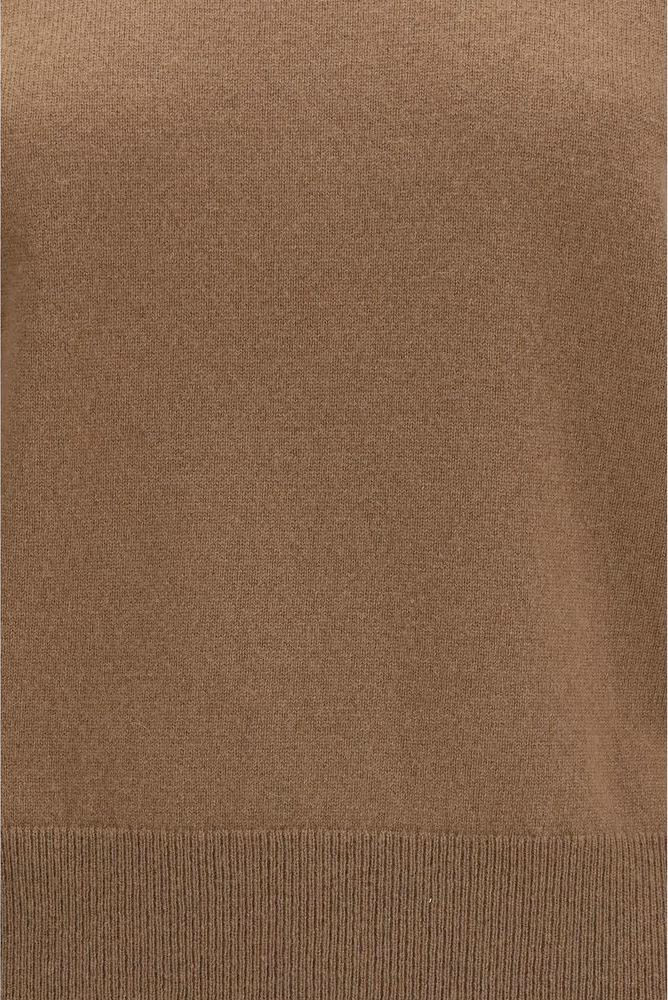 Extreme Cashmere Brown Cashmere Sweater