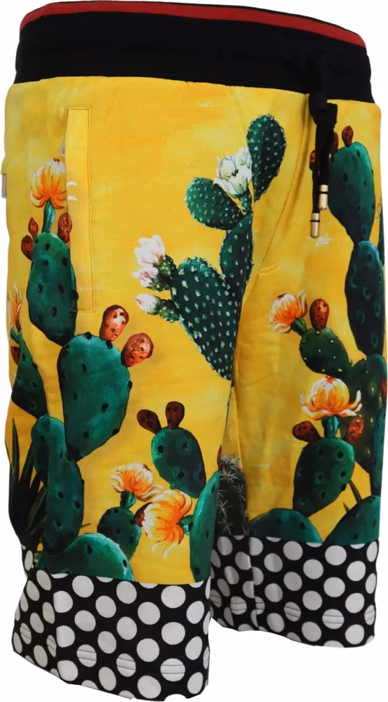 Dolce & Gabbana Multicolor Cactus Print Cotton Sweat Shorts
