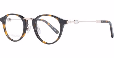 Brown Plastic Glasses (Frames)