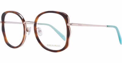 Brown Metal & Plastic Glasses (Frames)