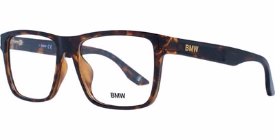 Brown Plastic Glasses (Frames)