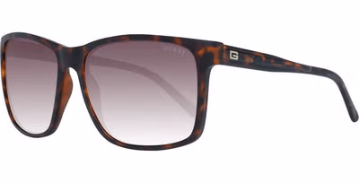 Brown Plastic Sunglasses