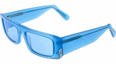 Blue Plastic Sunglasses