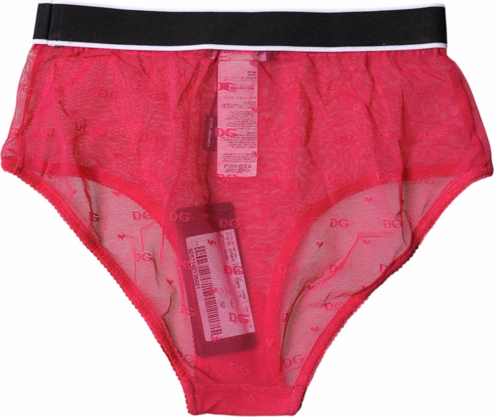 Dolce & Gabbana Fuchsia Tulle Nylon Mid Waist Panty Underwear