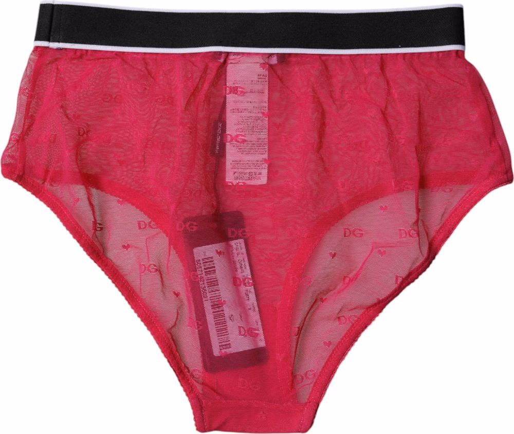 Dolce & Gabbana Fuchsia Tulle Nylon Mid Waist Panty Underwear
