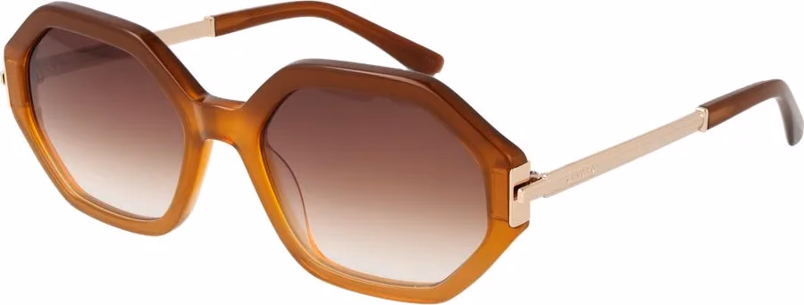 Sandro Brown Acetate Sunglasses