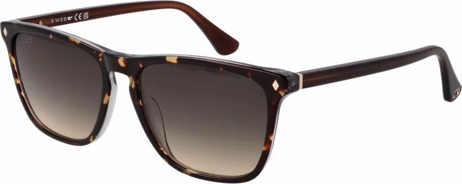 Web Brown Acetate Sunglasses