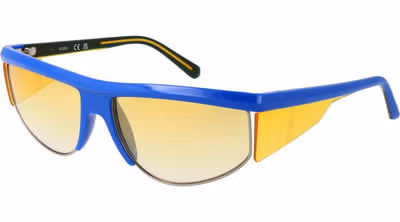 Blue Plastic Sunglasses