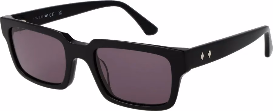 Web Black Acetate Sunglasses