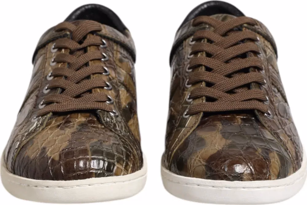 Dolce & Gabbana Brown Exotic Leather Low Top Sneakers Shoes