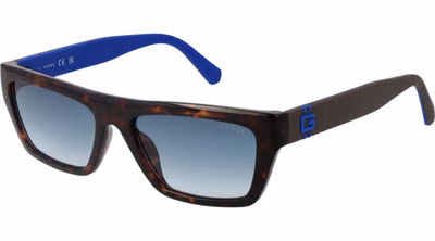 Brown Plastic Sunglasses