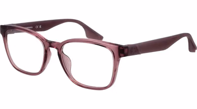 Purple Stainless Steel Glasses (Frames)