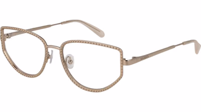 Gold Metal Glasses (Frames)