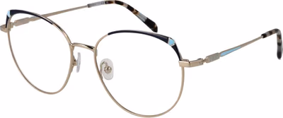 Gold Metal Glasses (Frames)