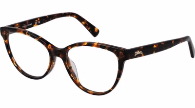 Brown Acetate Glasses (Frames)