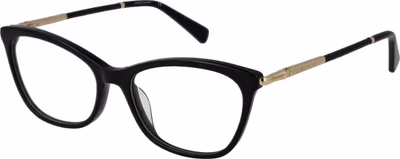 Black Plastic Glasses (Frames)