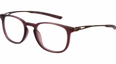 Brown Titanium Glasses (Frames)