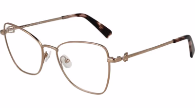 Gold Metal Glasses (Frames)