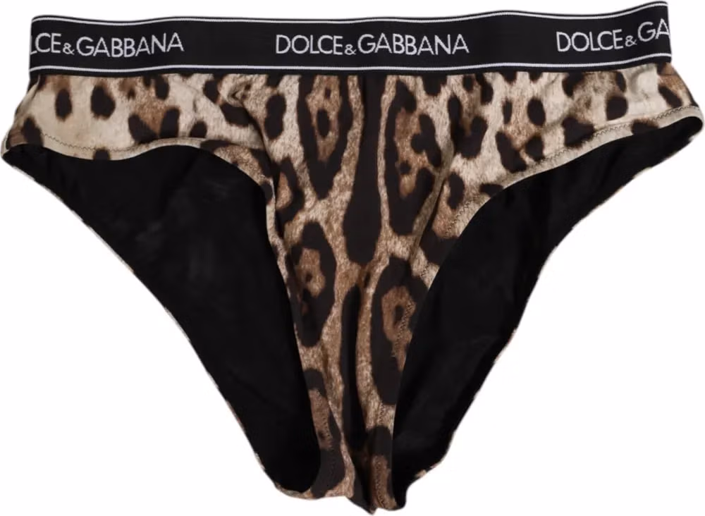 Dolce & Gabbana Brown Leopard Nylon High Waist Panty Underwear