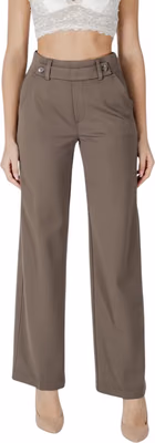 Brown Viscose Casual Pants