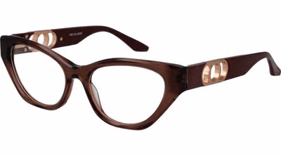 Brown Acetate Glasses (Frames)