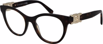 Brown Acetate Glasses (Frames)